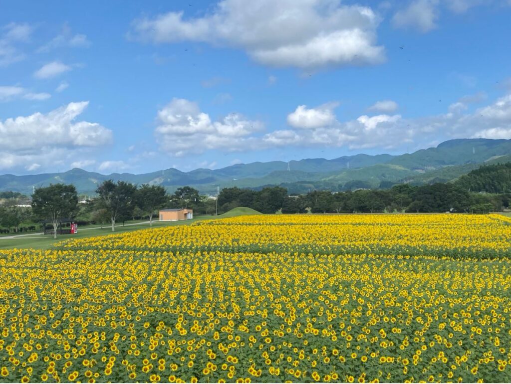 グリーンパークえびの